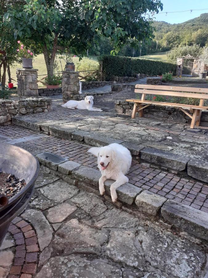 "Borgo Gerbina" Agriturismo & Azienda Agricola Sozzi Exteriér fotografie
